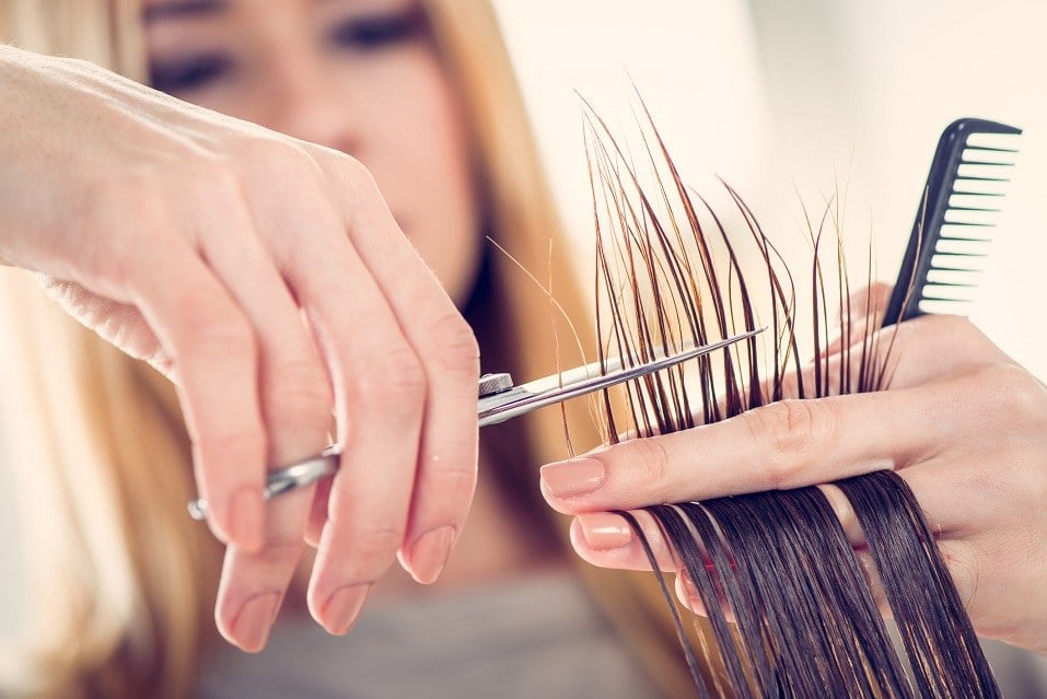 hairdresser cutting the hair of a woman