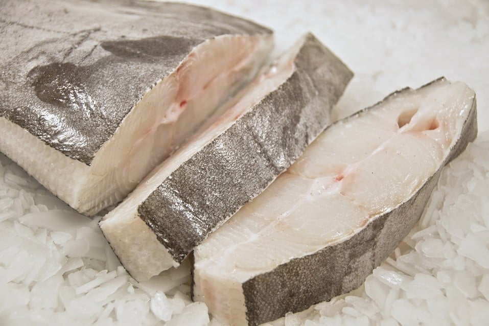 Halibut fish on ice.