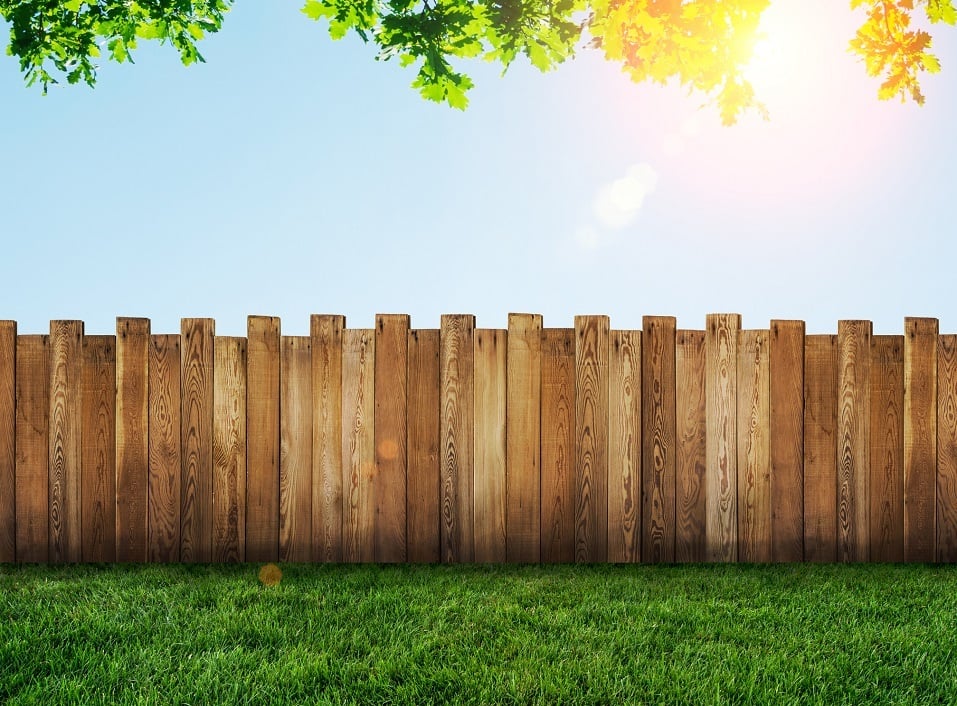 garden fence