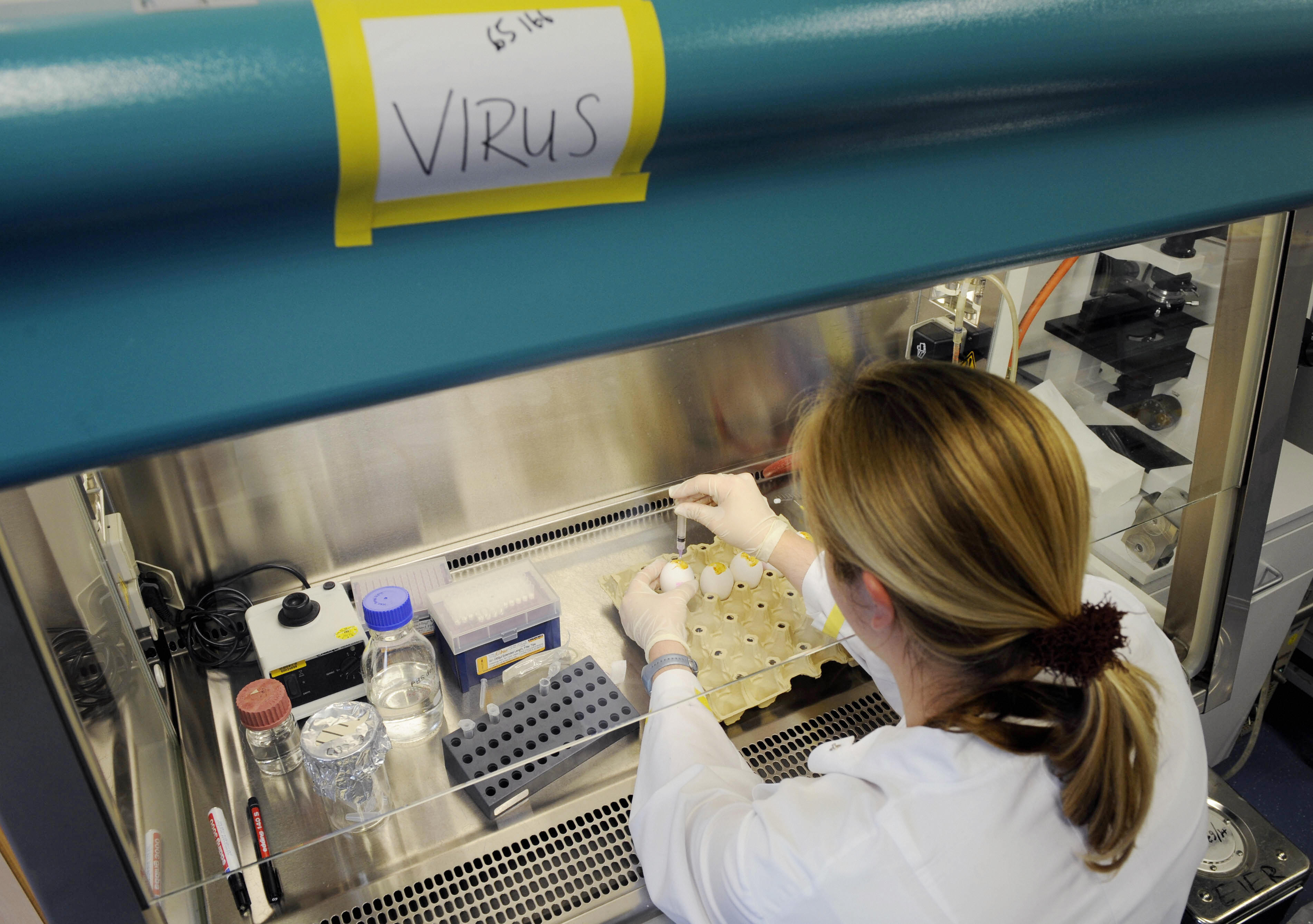 scientist working