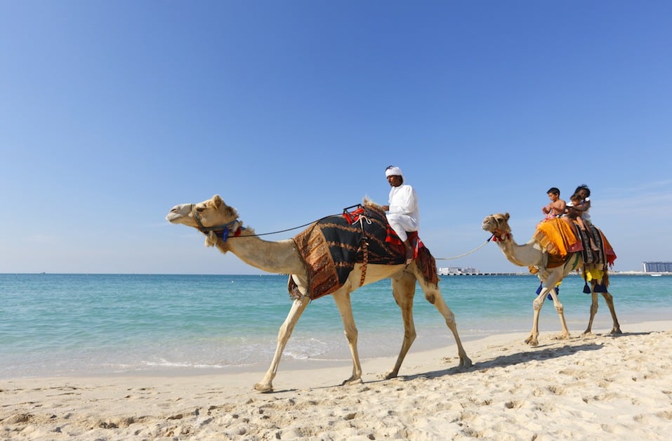 Tourist children riding camels on the Jumeirah beach