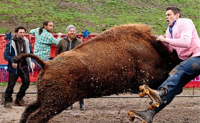 Johnny Knoxville, experimenting in one of America's most deadliest jobs, is struck by a cow.