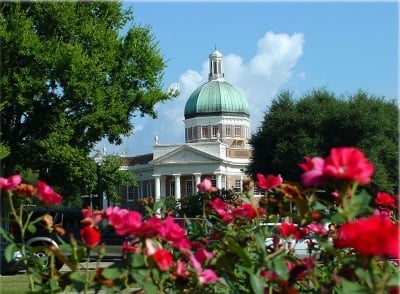 Rose garden in Hattiesburg, Mississippi |