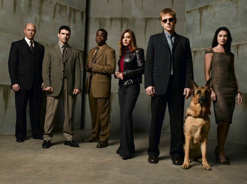Group of men, women, and a German Shepherd dog standing in front of a gray wall