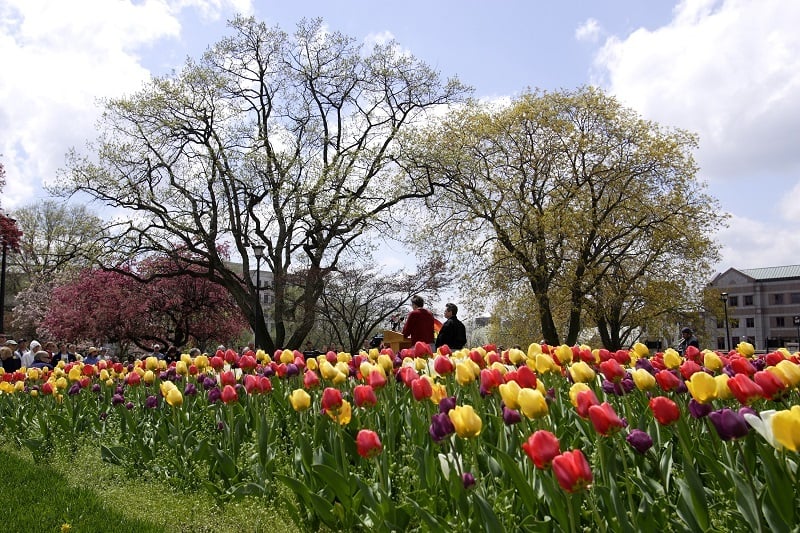 The grounds at the Connecticut capitol in Hartford
