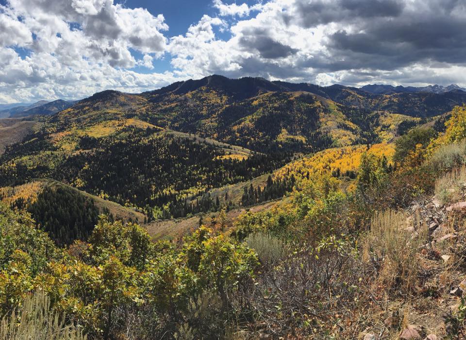 View near Summit Park, Utah