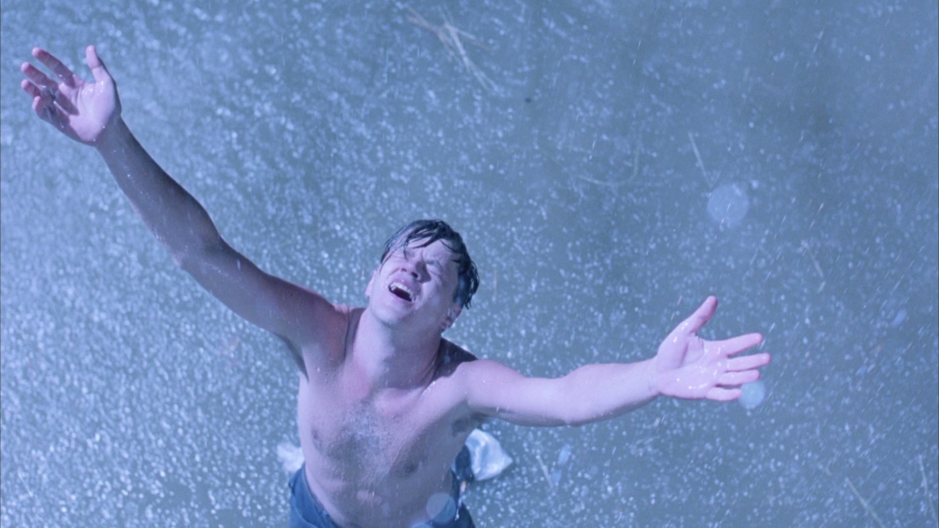 Andy raises his arms to the sky in the movie "The Shawshank Redemption"