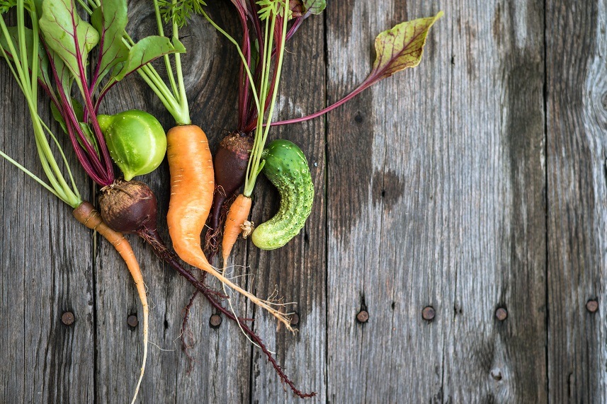 Trendy ugly organic carrot
