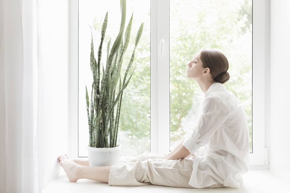 Woman and snake plant