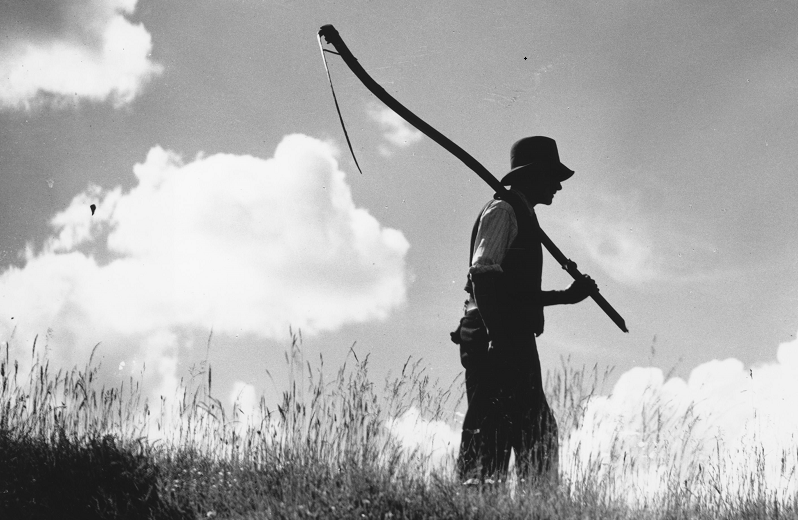a farmer walks in a field