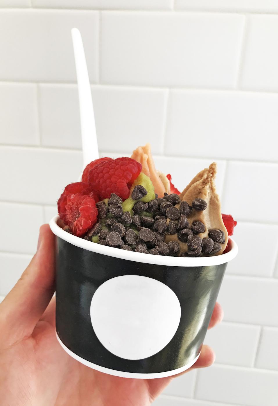 Frozen Yogurt with fresh fruit and chocolate chips