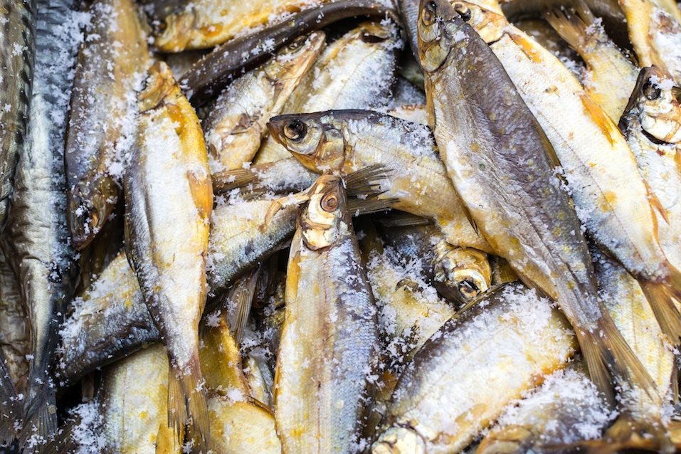 fish on display with a fresh covering of snow and ice in the background