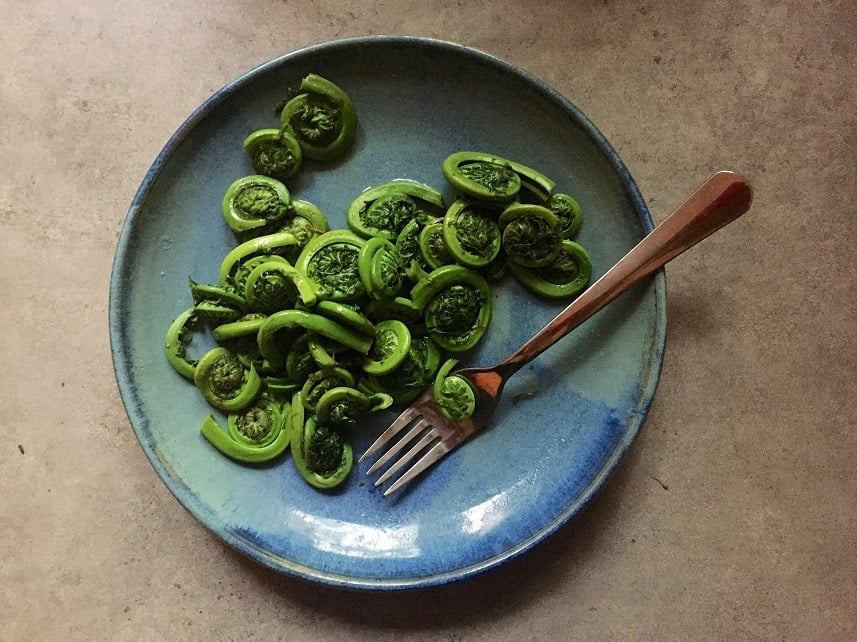 steamed fresh fiddleheads