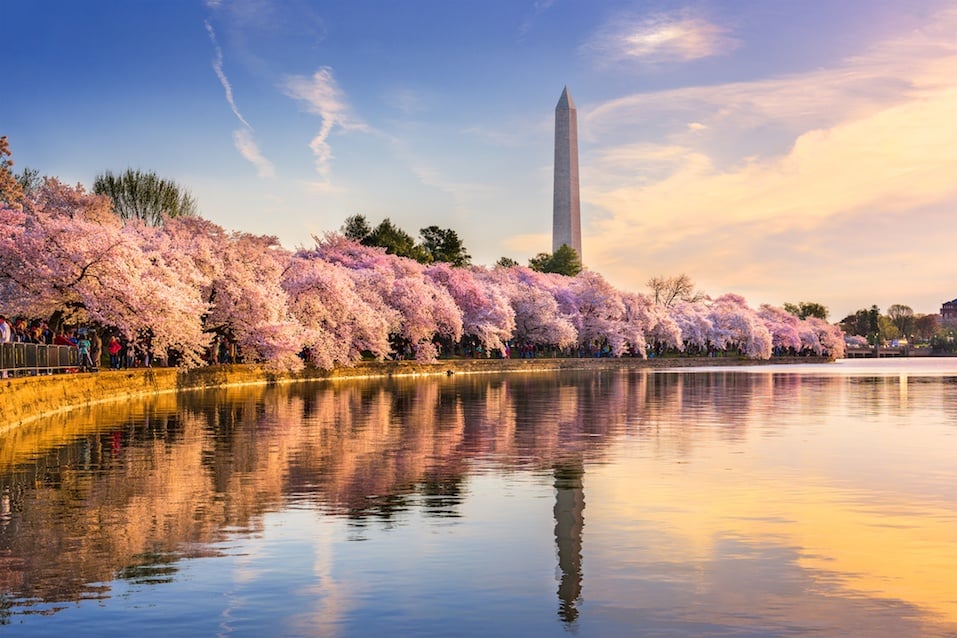 https://www.cheatsheet.com/wp-content/uploads/2017/05/Washington-DC-in-Spring.jpg