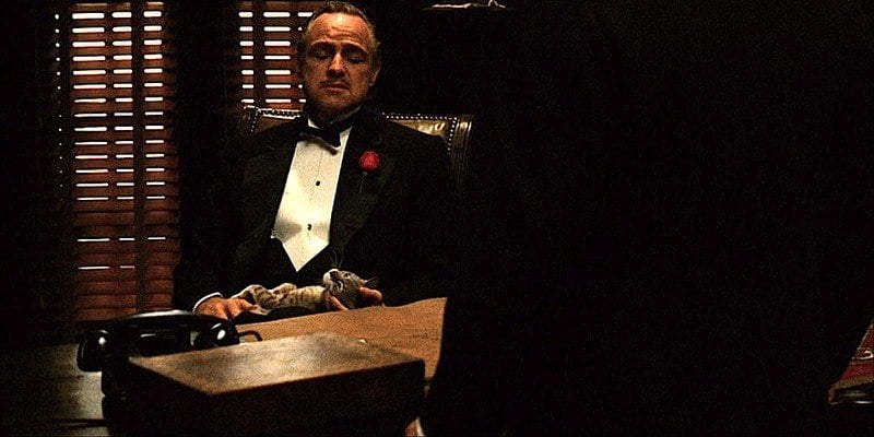 Don Vito is sitting at a desk petting a cat.