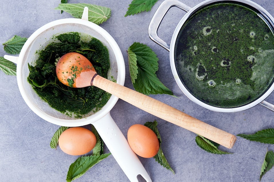 vegetarian nettle soup