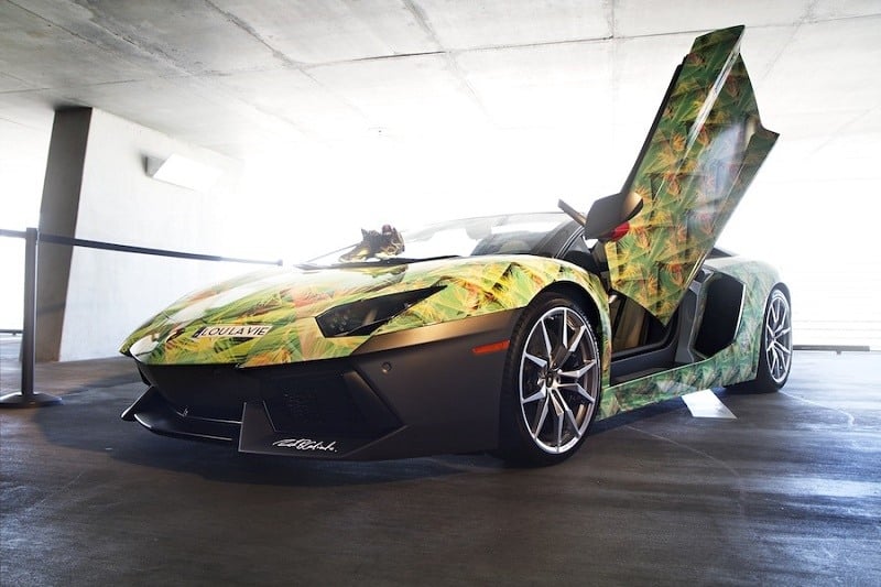 View of custom wrapped Aventador with door open