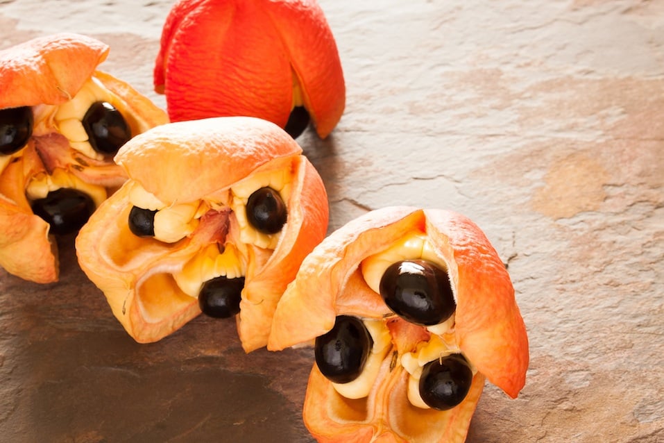 Freshly picked ackee pods