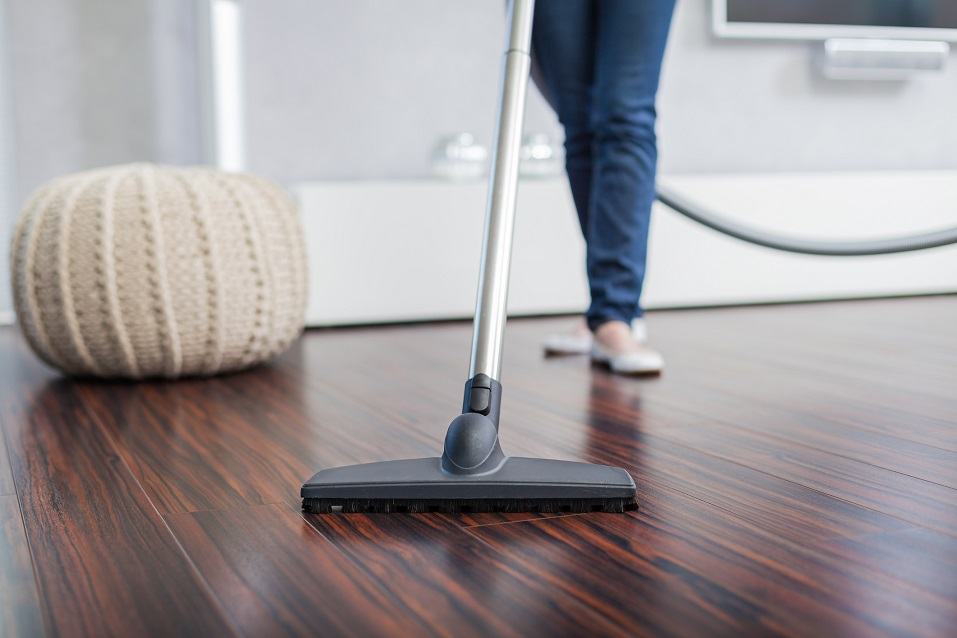 Vacuum Cleaner in Living Room