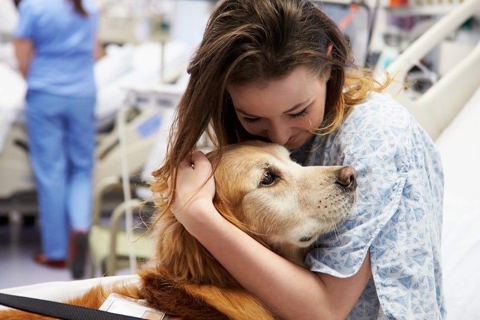 Dog Visiting Young Happy Female Patient In Hospital