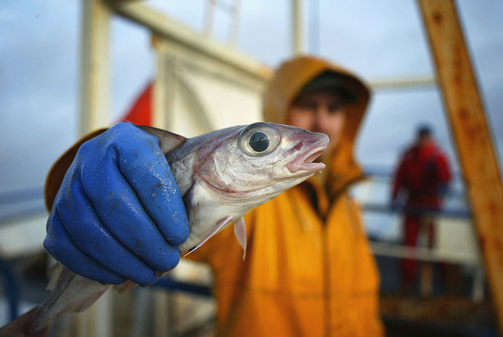 A commercial fisherman