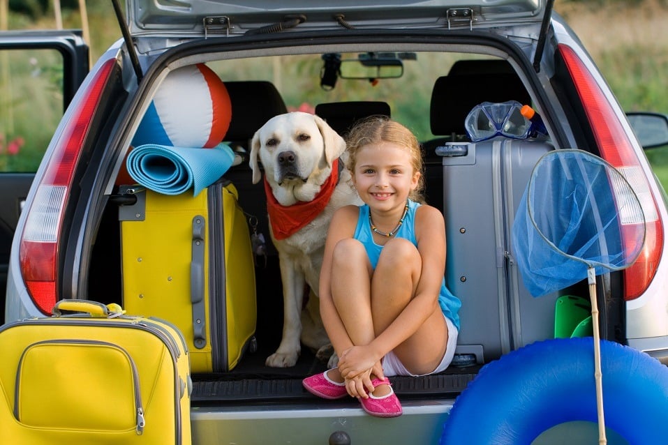 girl with dog and luggage in car