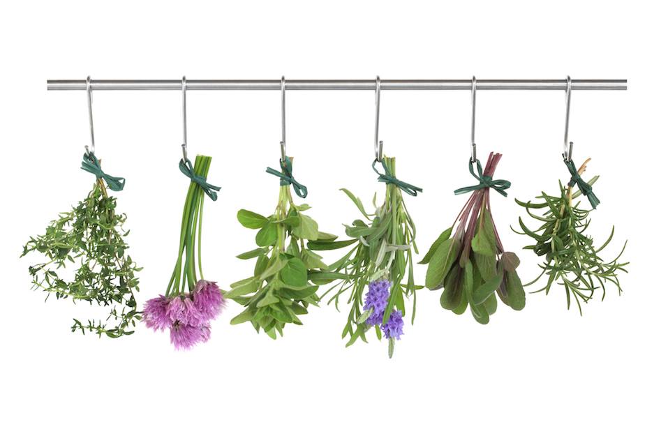 Herb leaf and flower bunches of thyme Herb leaf and flower bunches of thyme