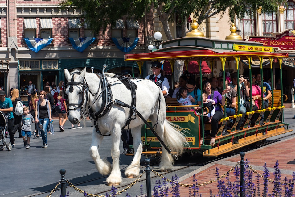 Horse-drawn streetcar at Disneyland