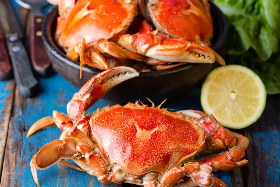 Seafood. Crabs in clay bowl