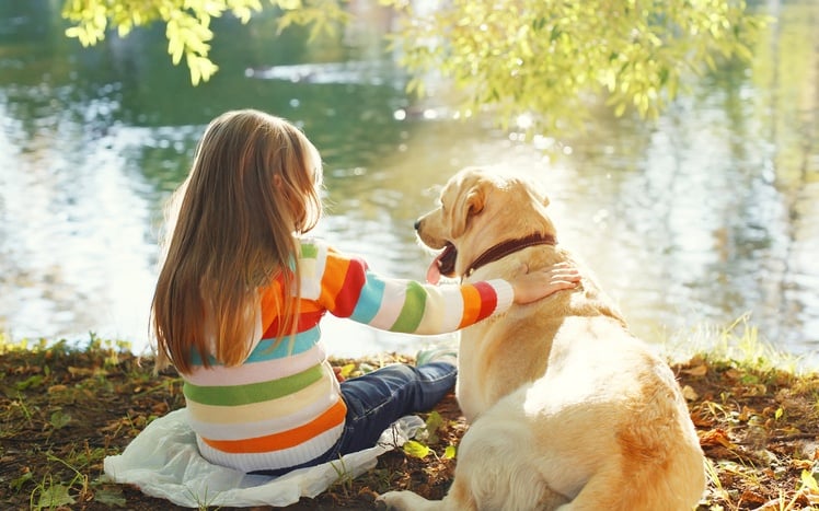 Two friends, child with Labrador retriever dog sitting in sunny summer park near water