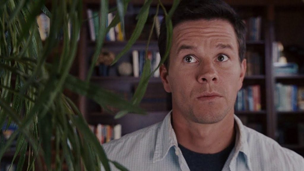 Mark Wahlberg looks up suspiciously at a plant