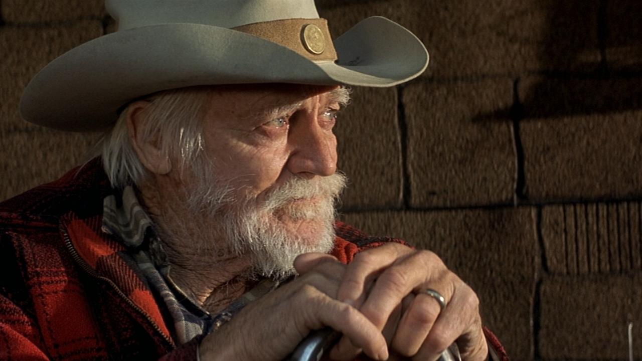 Richard Farnsworth, wearing a cowboy hat and a red flannel, looking off to the right of the frame thoughtfully