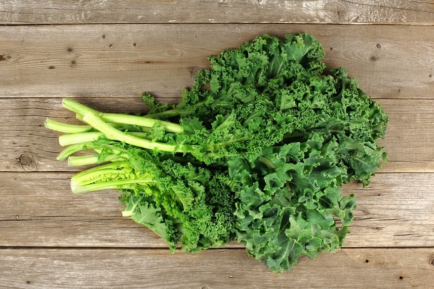 fresh green kale fresh green kale