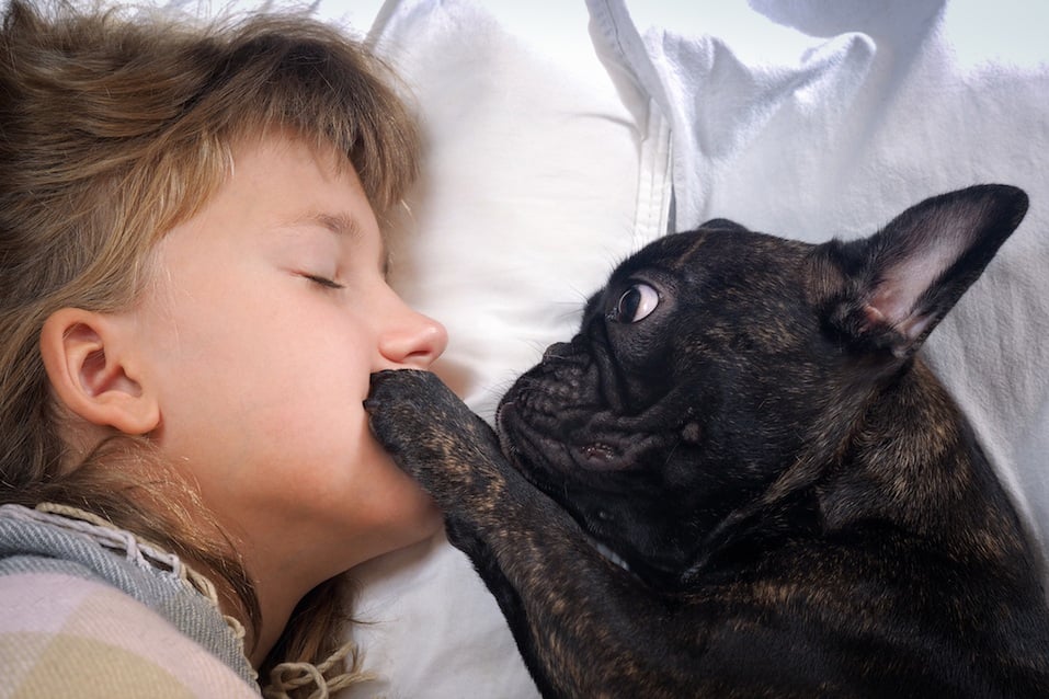 Funny girl and the dog