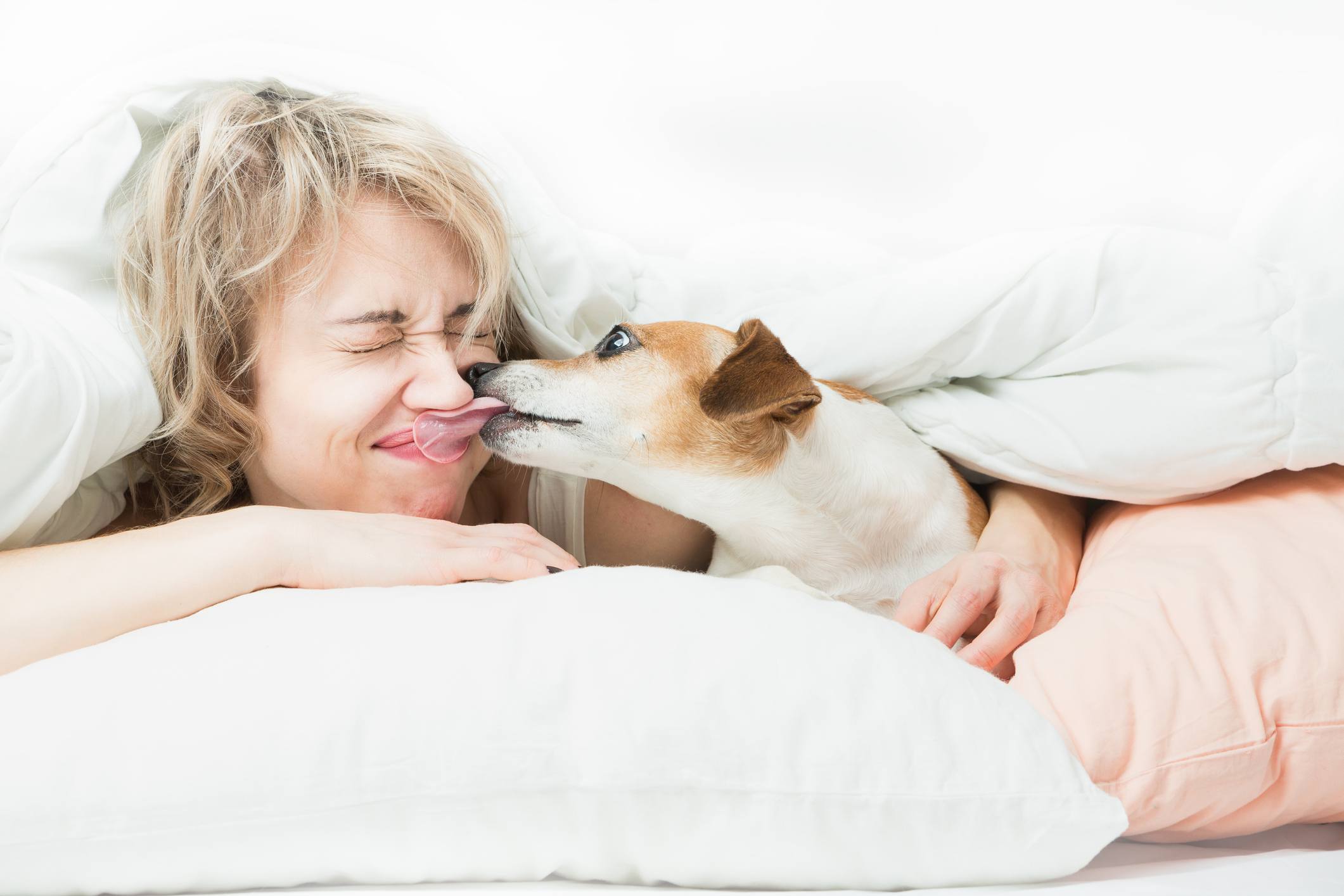 a dog licks a woman's face in a bed