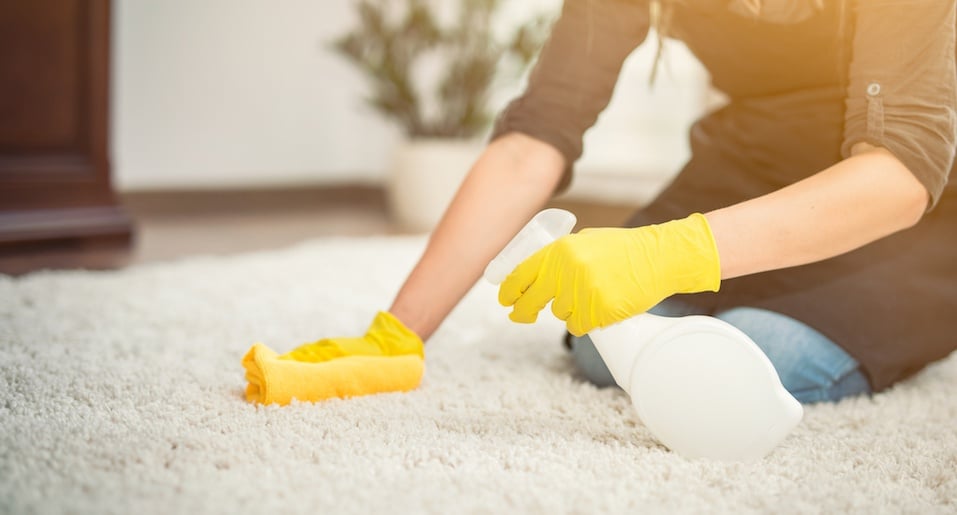 Carpet cleaning woman at home