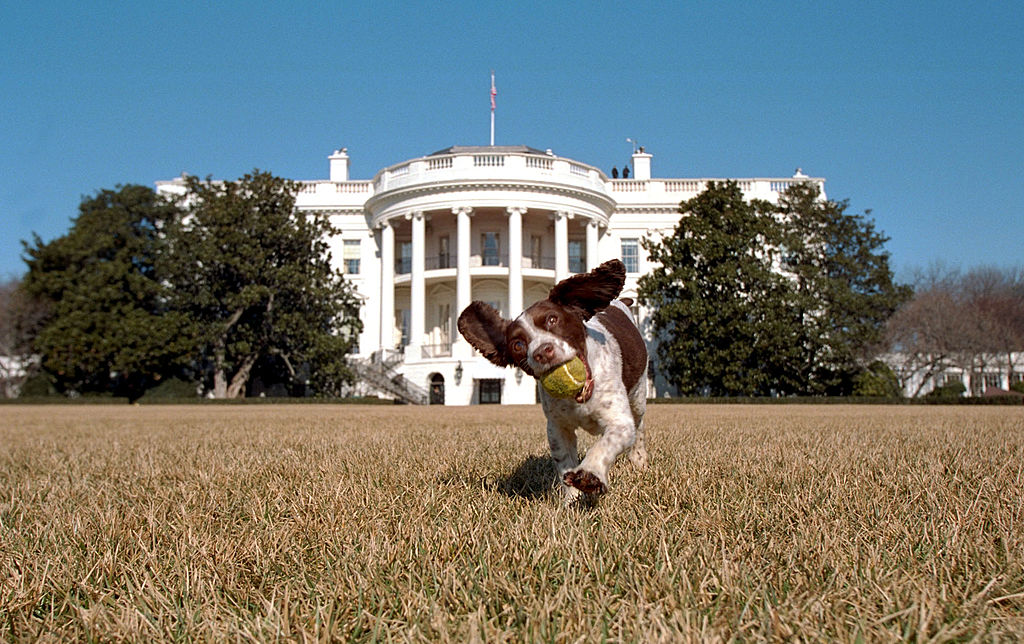 In this picture released 31 January 2001 by the US