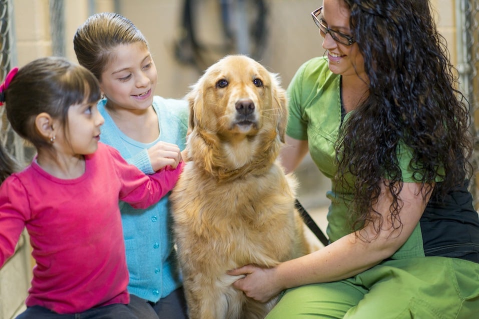 Kids picking a dog to adopt from the animal shelter.
