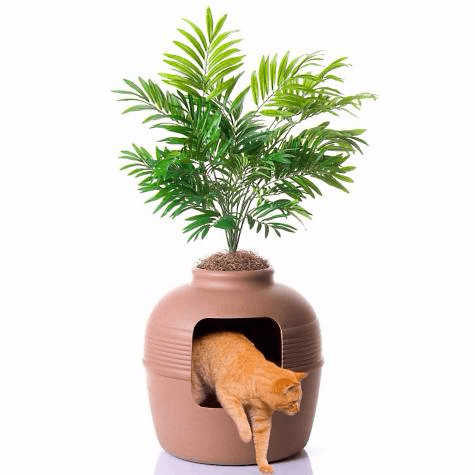 Plant hidden litter box