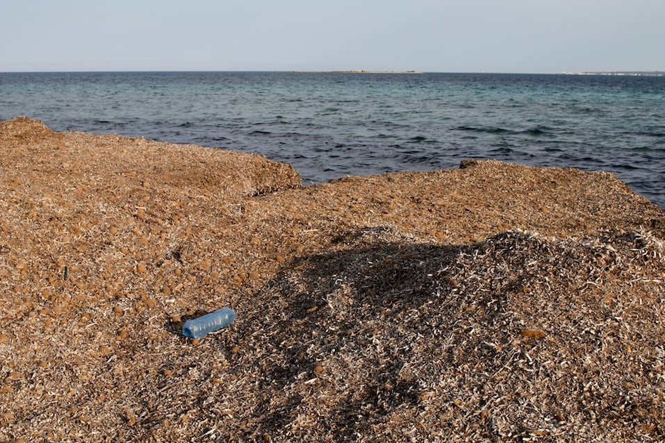 Abandoned plastic bottle on the coast