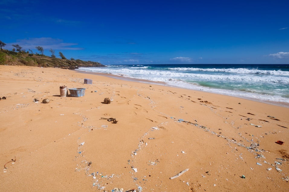 garbage strewn beach on Kauai