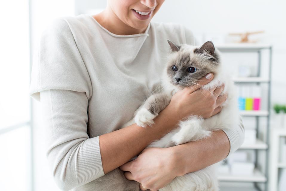 Woman holding her lovely cat