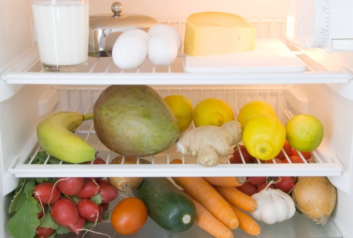 food refrigerator