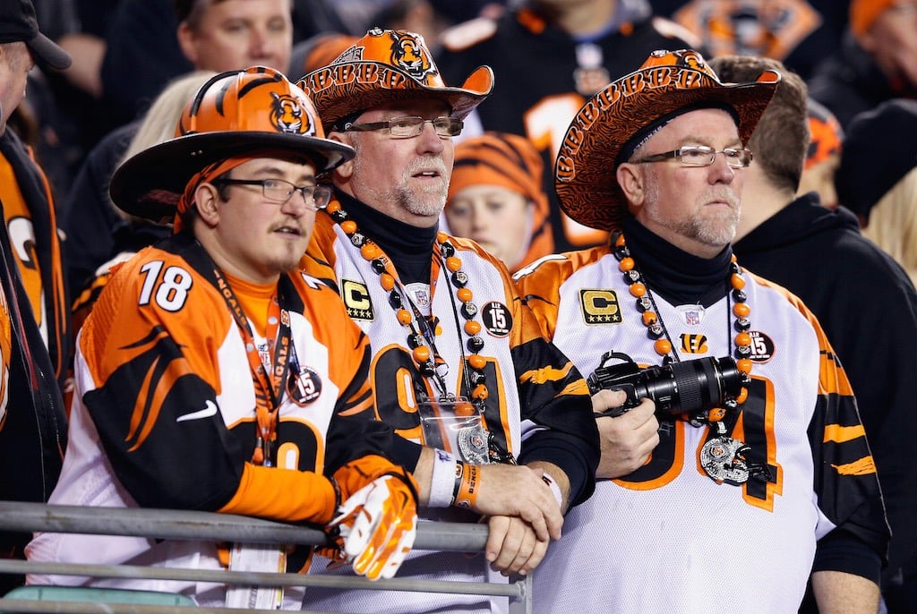 Bengals fans look on during a playoff game.
