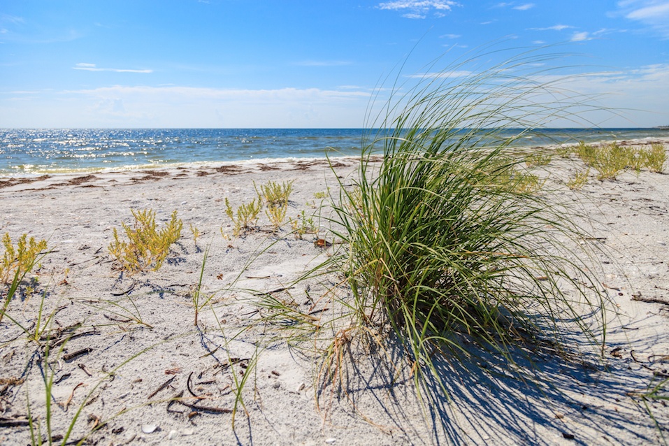 Cayo Costa State Park on La Costa Island