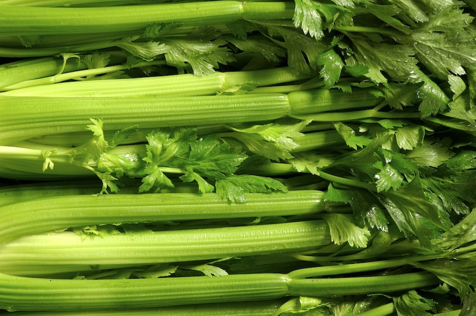 Fresh group of Celery