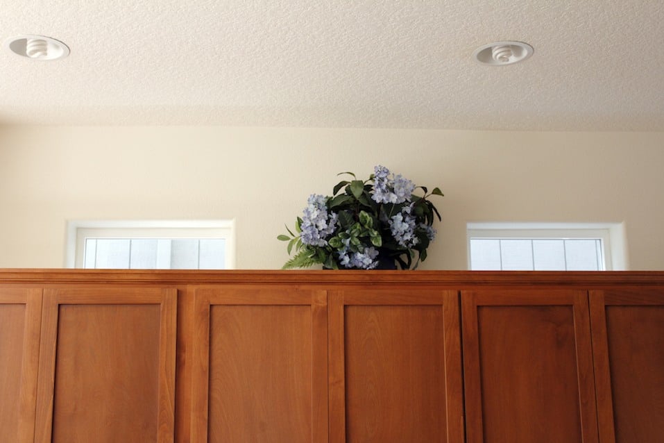 Plastic Flowers on Cabinets