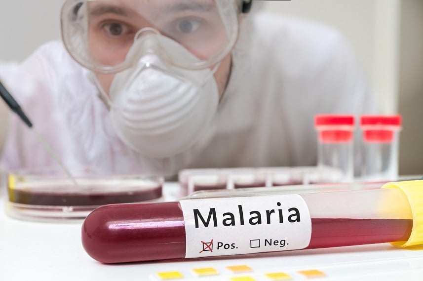 Researcher is analyzing test tube with Malaria