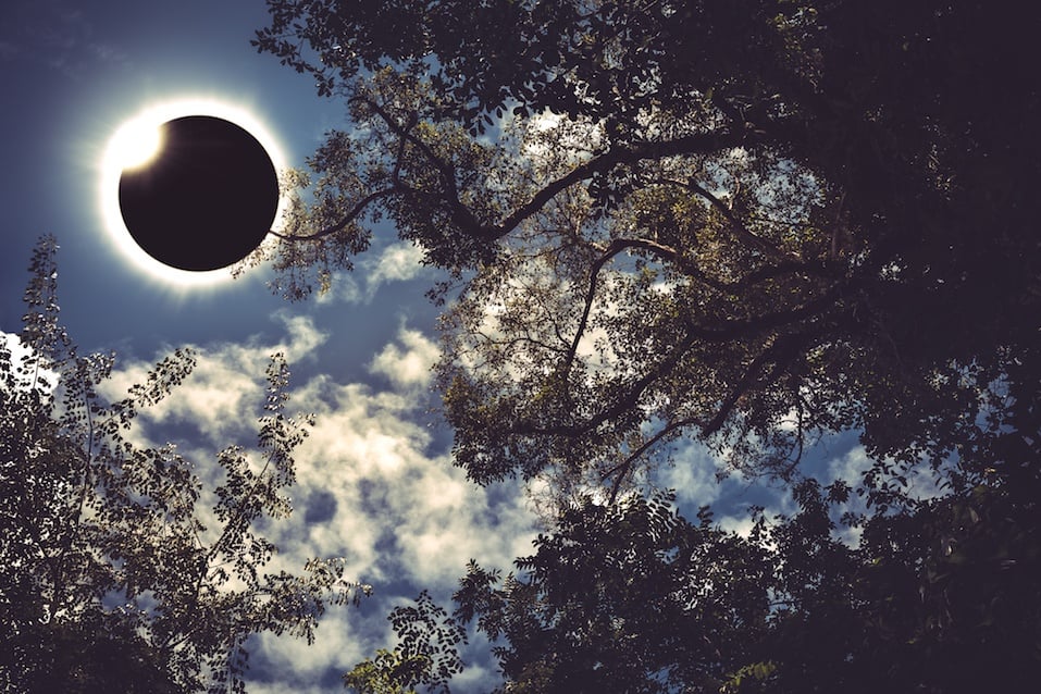 Total solar eclipse glowing on blue sky above silhouette of trees