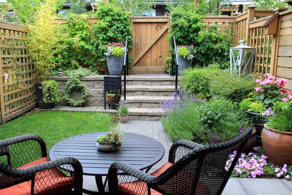 Small townhouse garden